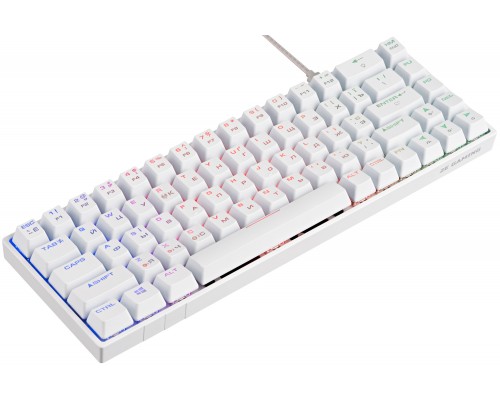 Клавиатура механическая 2E GAMING KG380 Keyboard Gateron Brown Switch White