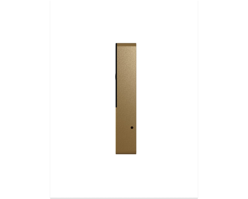 Вызывная панель Slinex ML-20CRHD Gold Black