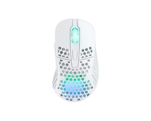 Игровая мышь Xtrfy M4 Wireless, оптическая, беспроводная / USB-A, RGB-подсветка, белая