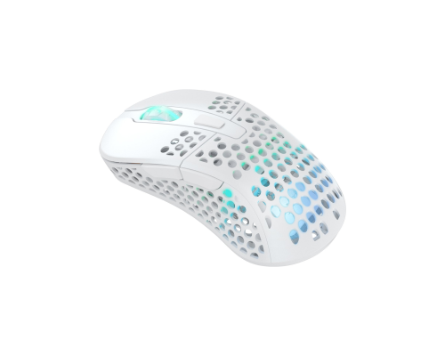 Игровая мышь Xtrfy M4 Wireless, оптическая, беспроводная / USB-A, RGB-подсветка, белая