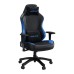 Компьютерное игровое кресло Anda Seat Luna Premium Large Black/Blue