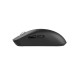 Мышь беспроводная 2E GAMING MG355 WL, RGB, USB-A/WL, Чёрный