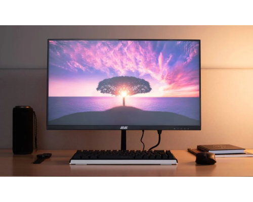 Монитор 2E 23.8″ D2425B D-Sub, HDMI, MM, IPS, 100Hz, FreeSync