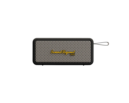 Портативная акустическая система 2E SoundLegend Mini 40Вт, BT 5.3, TWS, FLAC, MP3, WAV, EQ, Power Bank, IPX6, Чёрный 