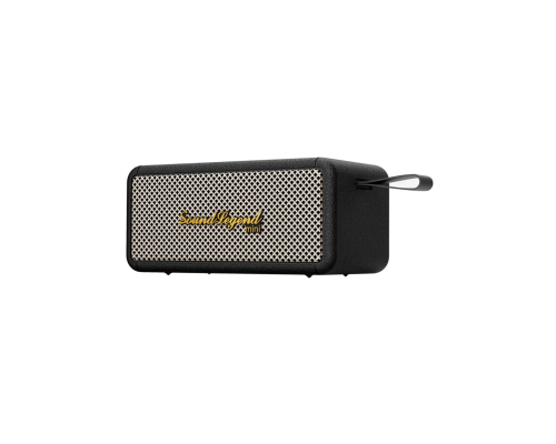Портативная акустическая система 2E SoundLegend Mini 40Вт, BT 5.3, TWS, FLAC, MP3, WAV, EQ, Power Bank, IPX6, Чёрный 