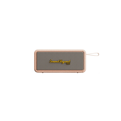 Портативная акустическая система 2E SoundLegend Mini 40Вт, BT 5.3, TWS, FLAC, MP3, WAV, EQ, Power Bank, IPX6, Коричневый Портативная акустическая система 2E SoundLegend Mini 40Вт, BT 5.3, TWS, FLAC, MP3, WAV, EQ, Power Bank, IPX6, Коричневый