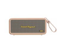 Портативная акустическая система 2E SoundLegend 80Вт, BT 5.3, TWS, FLAC, MP3, WAV, EQ, Power Bank, IPX6, RGB, Коричневый