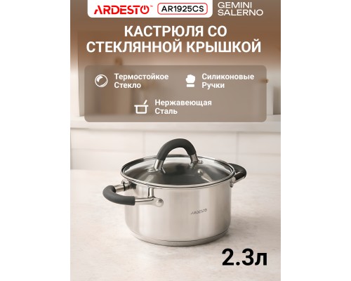 Кастрюля Ardesto Gemini 2.5 л с крышкой + Половник Ardesto Gemini