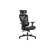 Эргономичное офисное кресло Lumi CH05-31 SpineX Black