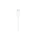 Проводные наушники-вкладыши Apple EarPods (USB-C), белый