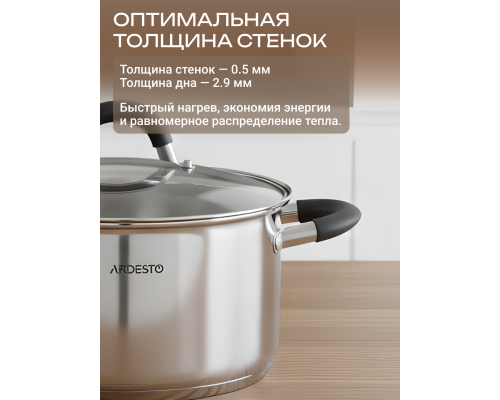 Кастрюля со стеклянной крышкой ARDESTO Gemini Salerno, 4.4л, нержавеющая сталь, силикон