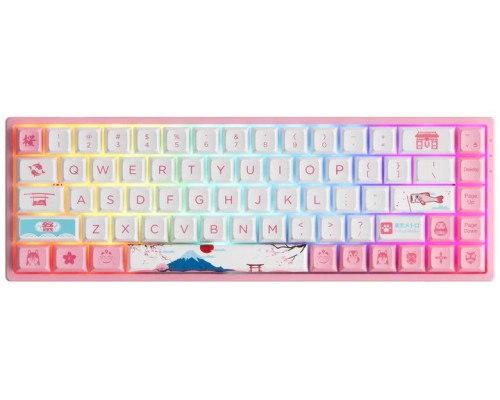Клавиатура Akko 3068B PlusTokyo R2 CS Jelly Purple RGB