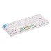 Клавиатура механическая Akko 3068B Doraemon Rainbow 68Key, CS Jelly Pink, BT/WL/USB-A, EN/UKR, RGB, Білий