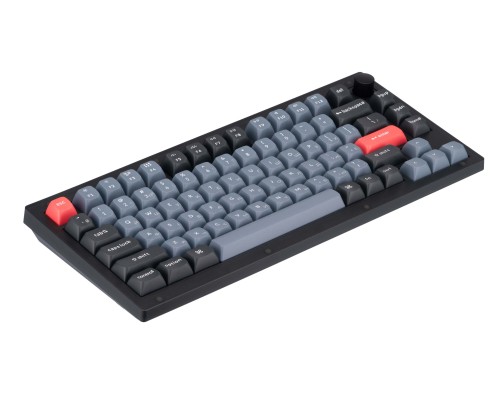 Клавиатура механическая Keychron V1 84Key, Gateron G PRO Blue, USB-A, Hot-Swap, QMK, Knob, EN/UKR, RGB, Frosted Black