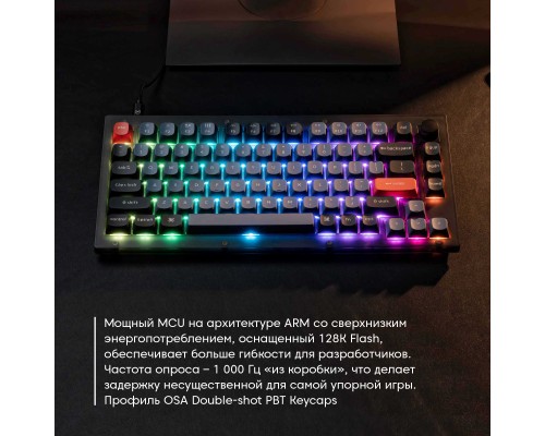 Клавиатура механическая Keychron V1 84Key, Gateron G PRO Blue, USB-A, Hot-Swap, QMK, Knob, EN/UKR, RGB, Frosted Black