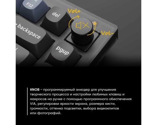 Клавиатура механическая Keychron V1 84Key, Gateron G PRO Blue, USB-A, Hot-Swap, QMK, Knob, EN/UKR, RGB, Frosted Black