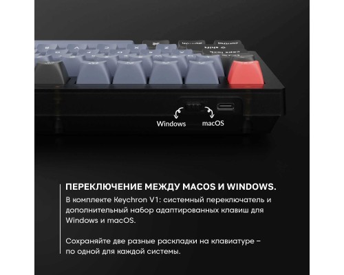 Клавиатура механическая Keychron V1 84Key, Gateron G PRO Blue, USB-A, Hot-Swap, QMK, Knob, EN/UKR, RGB, Frosted Black