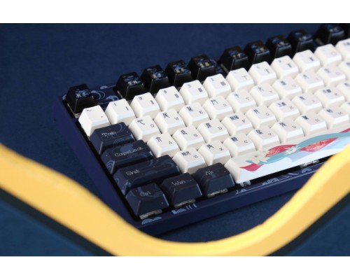 Клавиатура механическая Varmilo VPE87 Chang'e 87Key, Cherry Mx Silent Red, BT/WL/USB-A, EN, White Led, Синій