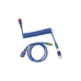 Кабель Type-A/Type-C Keychron Premium Coiled Aviator Cable-Straight Rainbow Palted black