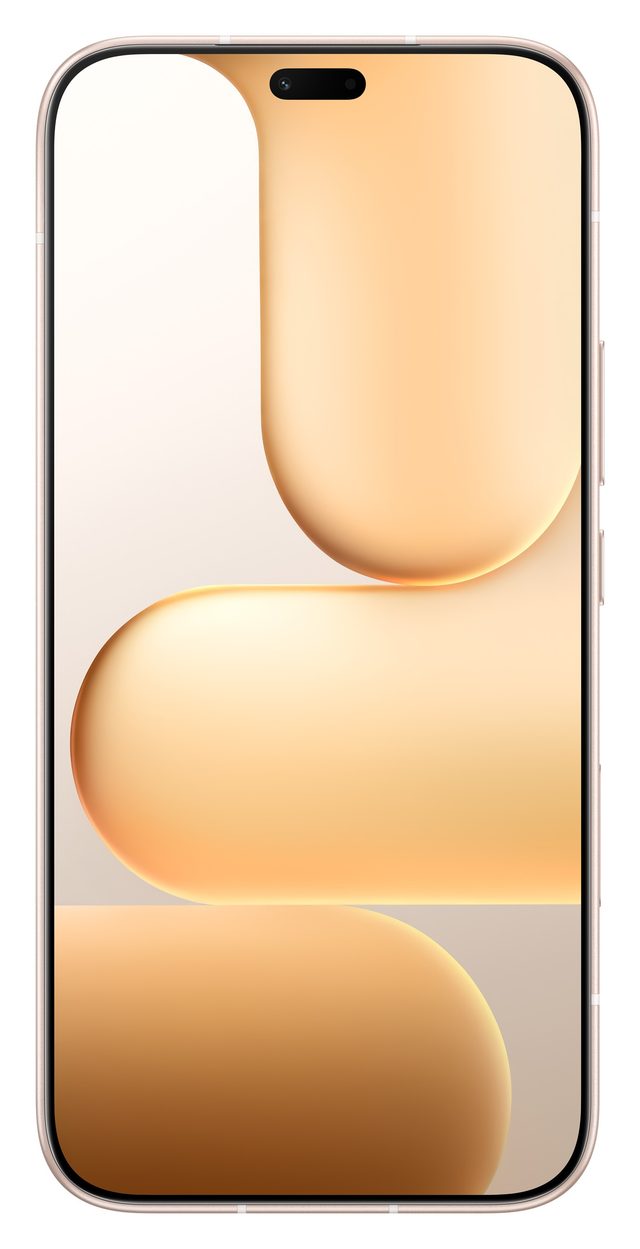 Smartfon Honor 600 Lite 8/256 GB, oltin rang — Surat 2