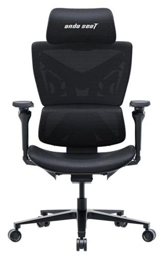 Кресло игровое Andaseat X-Air Pro XL, чёрная сетка, накладка спинки celeste