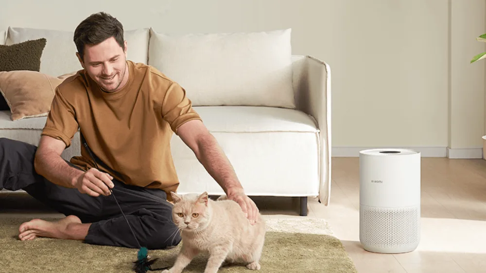 Mehmonxona polida Xiaomi Smart Air Purifier 4 Compact, yonida erkak mushuk bilan oʻynayapti